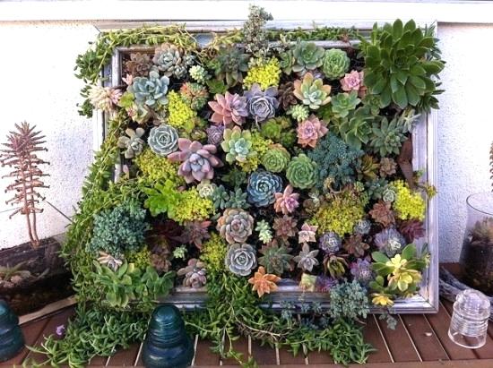 Living Walls – Look Up to Bring the Outside, In